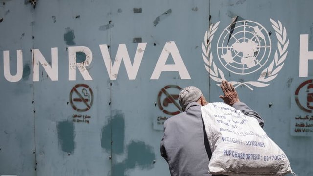 Las razones de la inacción y la ineficiencia de las organizaciones internacionales a la hora de proporcionar ayuda a Gaza