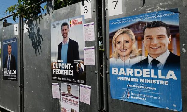 An Analysis of the French Parliamentary Election: Its Prospects